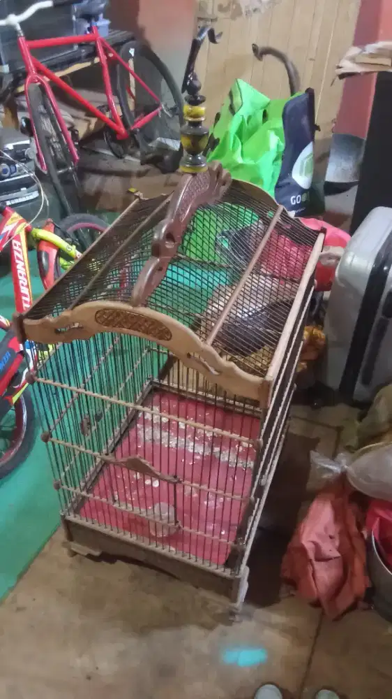 Jual aje ni kandang ukir nomer 1