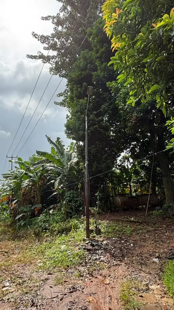 Di Jual Tanah Murah Beji Depok Dekat UI
