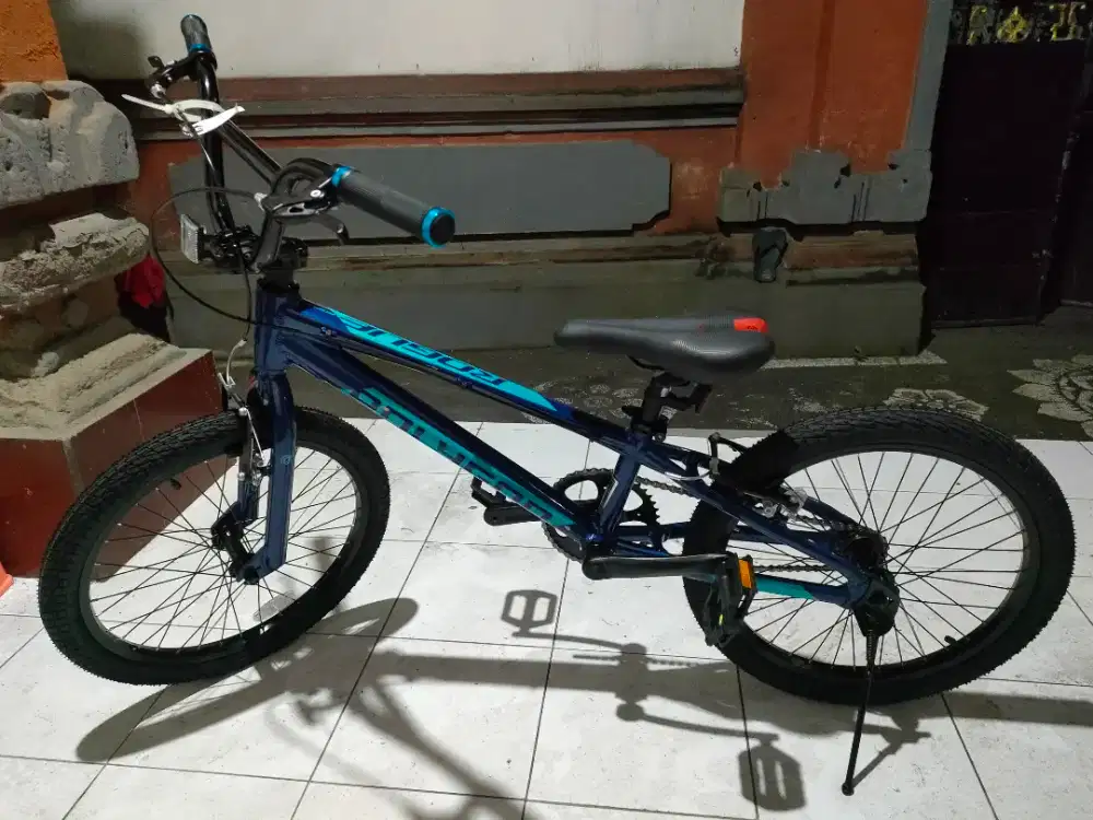 Di Jual Sepeda Polygon BMX Rogue