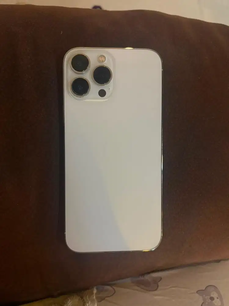 Iphone 13 Pro Max 256Gb Inter AllProvider