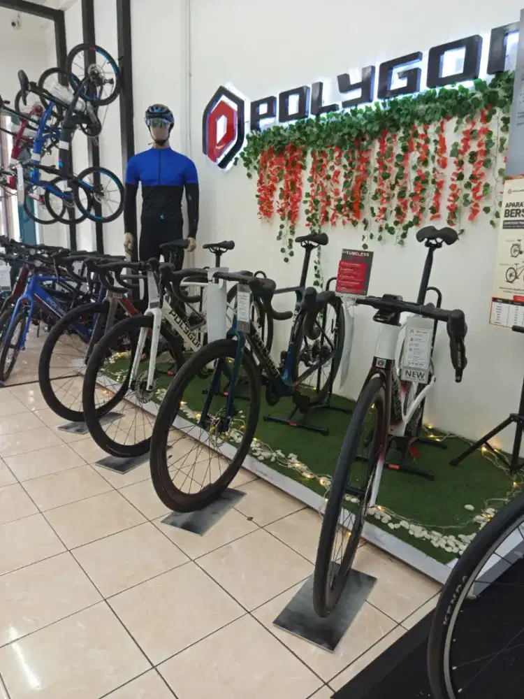 Road Bike Polygon