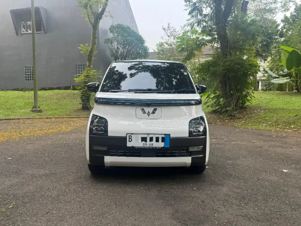 [Low KM] Airev Long Range 300