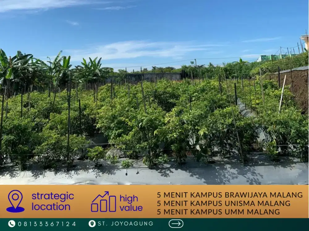 Tanah Malang 5 Menit Kampus UB Malang SHM Ready