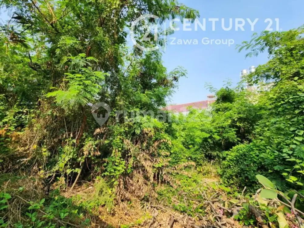 Jual Murah Kavling Pasir Putih Ancol Timur Hadap Timur
