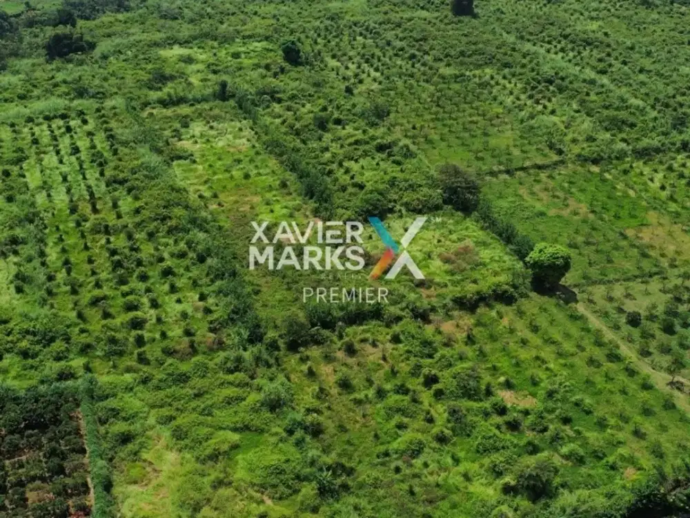 Dijual Tanah Kavling View Gunung Poros Jalan di Landungsari Dau Malang