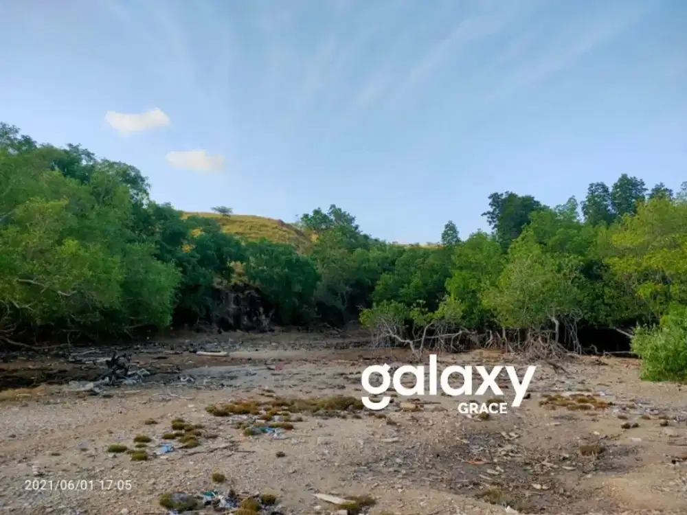 DIJUAL TANAH DI SERAYA LABUAN BAJO