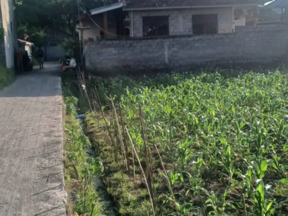 Dijual Tanah Sedap Malam Kesiman Denpasar Timur Cocok untuk Rumah Tinggal dan Kos