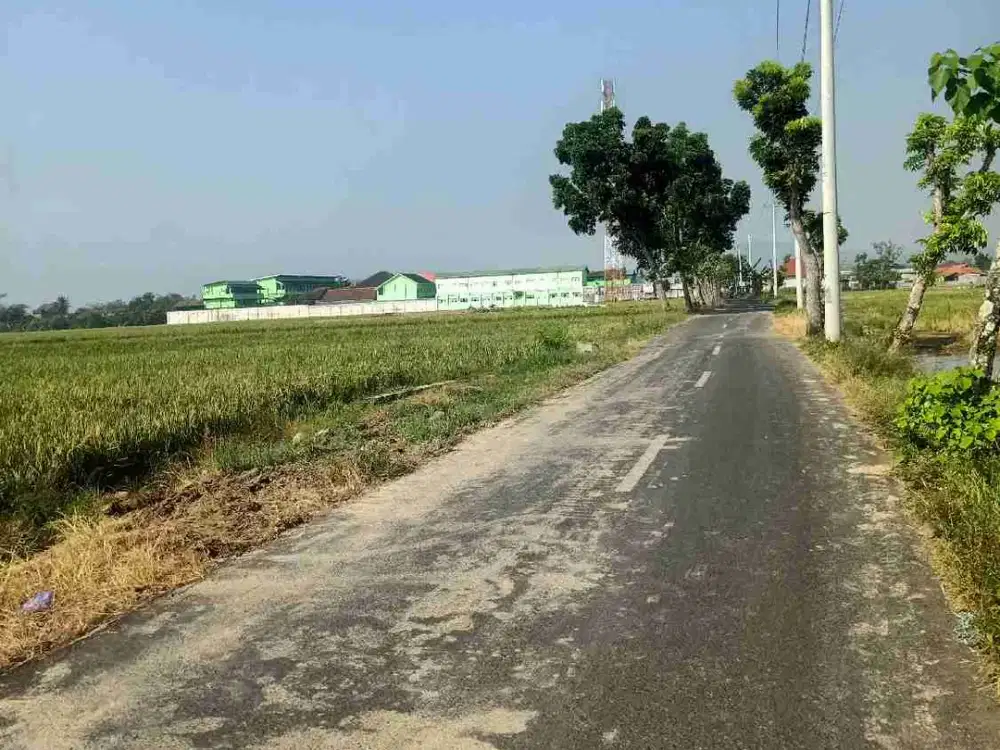 tanah sawah produktif akses jalan kabupaten