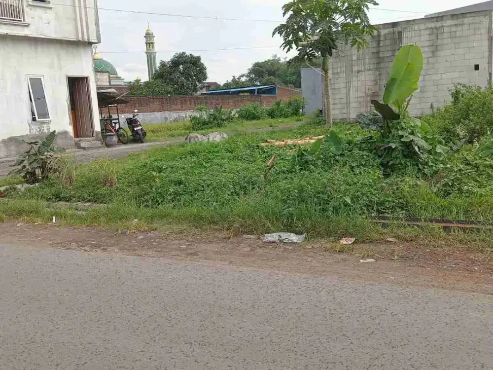 Tanah Usaha Melati Sekarpuro Pakis Malang