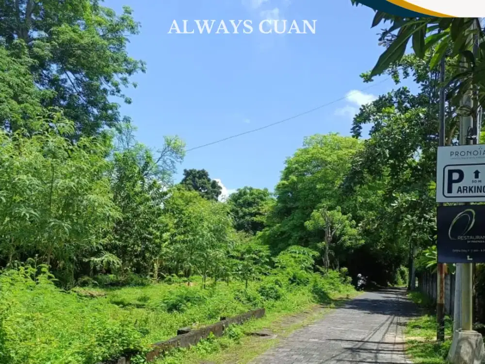 Land For Leasehold dengan Spot Langsung ke Pantai, Siap Bangun