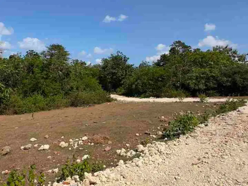 Dijual Tanah Murah 800m2 Posisi Hook Untuk Investasi