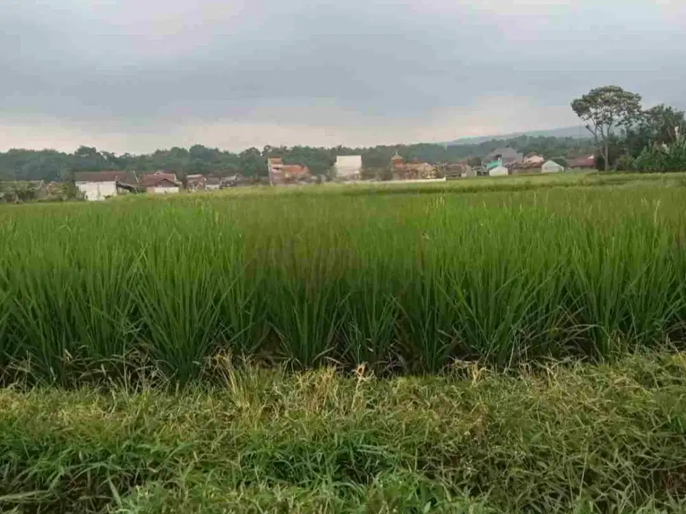 JUAL CEPAT TANAH SAWAH BANJARAN BANDUNG SELATAN