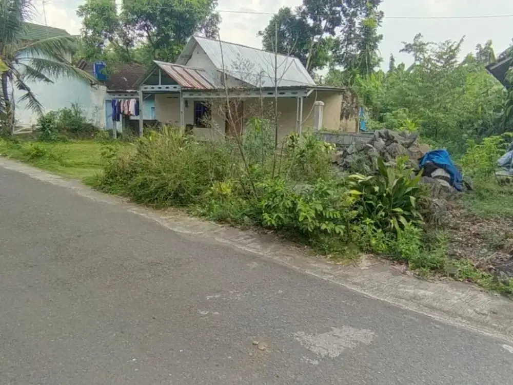 Tanah pekarangan view sawah dan Candi Plaosan