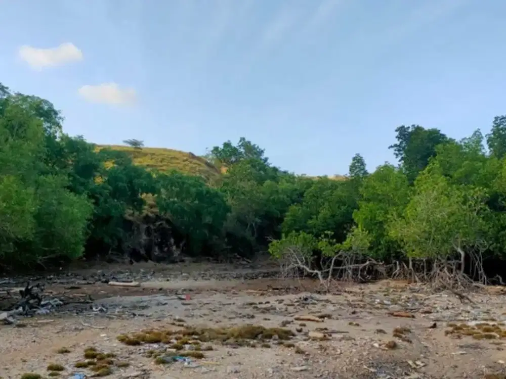 TANAH DI SERAYA LABUAN BAJO
