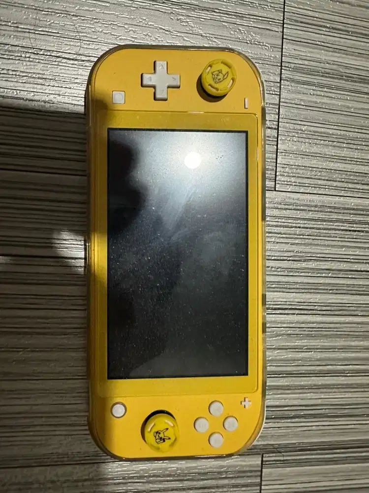 Nintendo switch lite