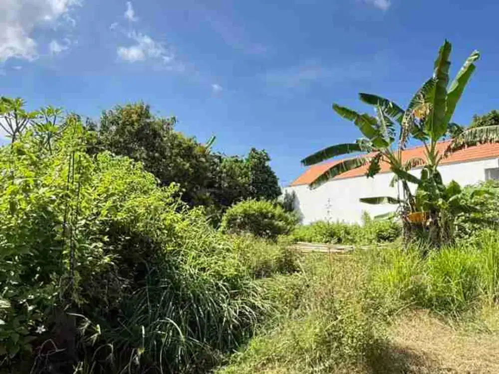 Dijual Murah  Tanah 200m2 Cocok Untuk Invest Di Kuta Selatan