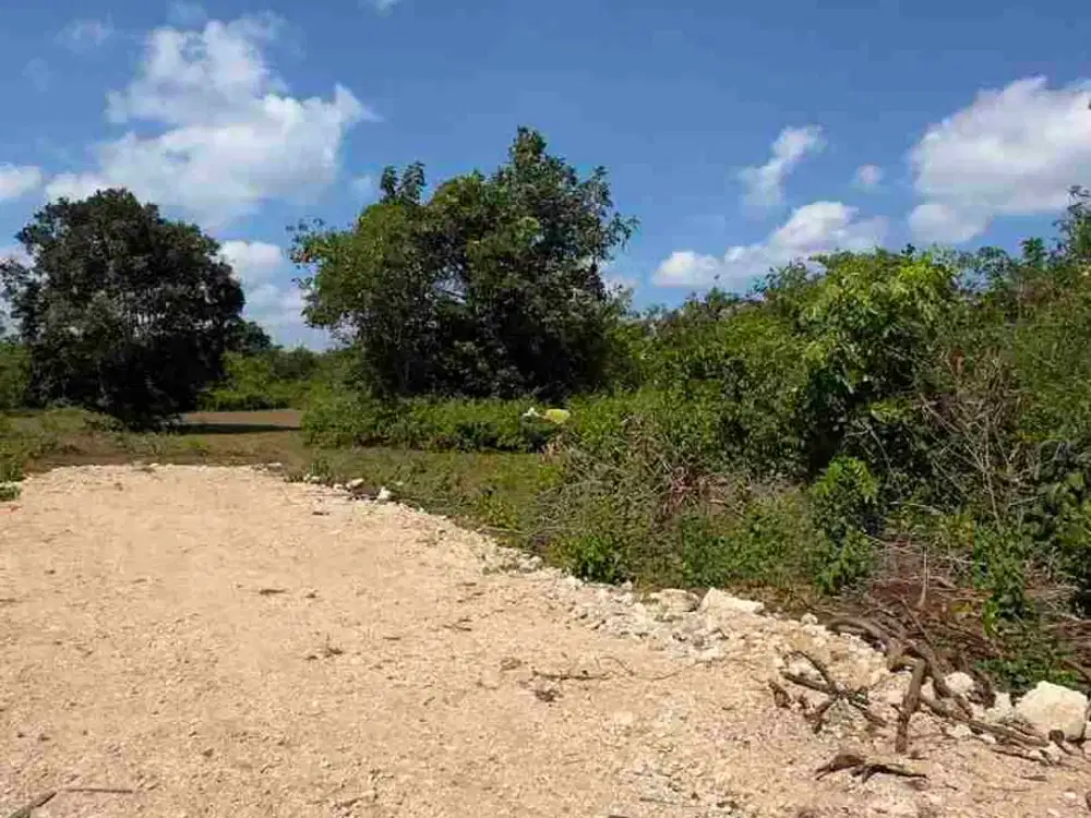 Dijual Murah Tanah 400m2 Cocok Untuk Investasi