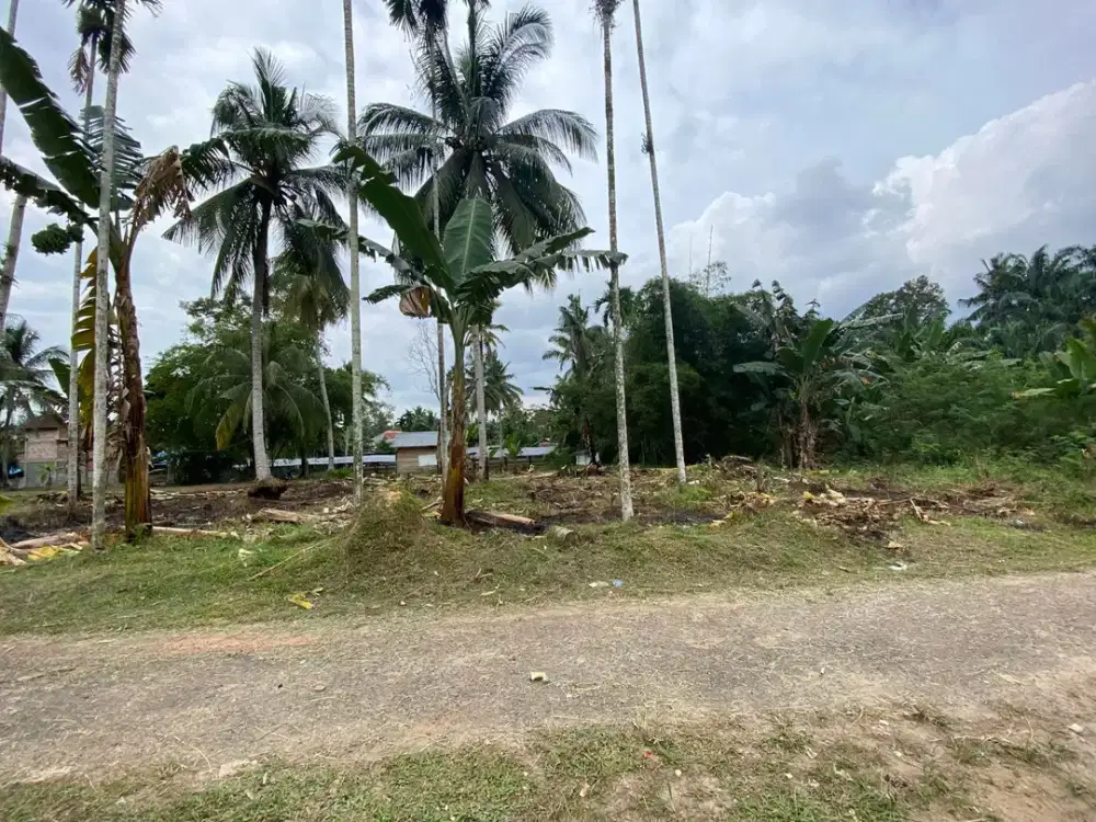 Jual Tanah Murah Mestong KM. 15 Dekat Exit Toll