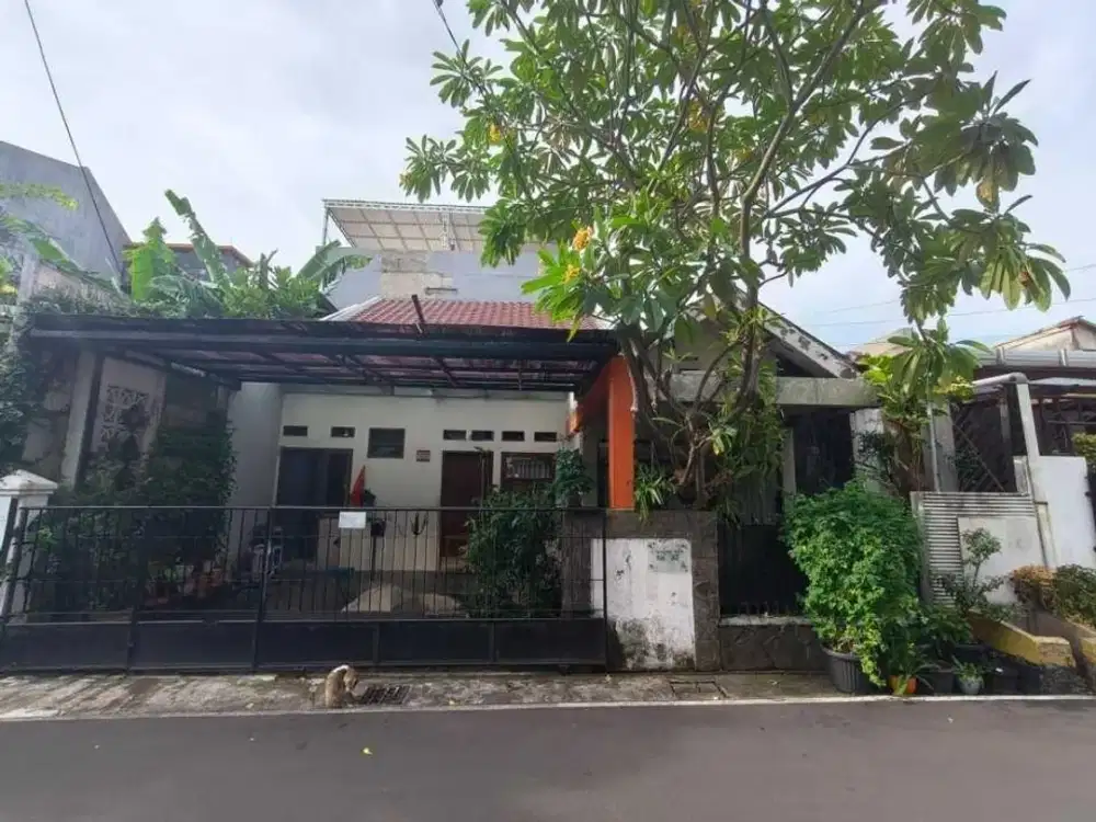 Dijual Rumah Lawas Hitung Tanah 1,5 Lantai di Tomang - Jakarta Barat