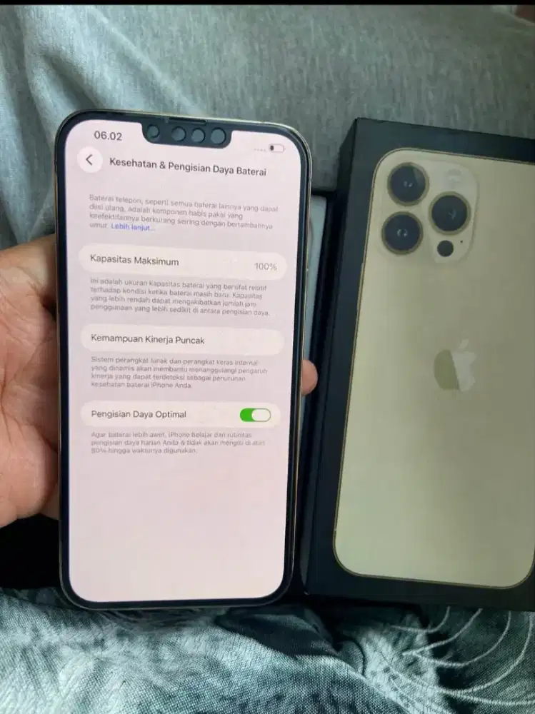 iPhone 13 Pro Max 128 GB RESMI beacukai