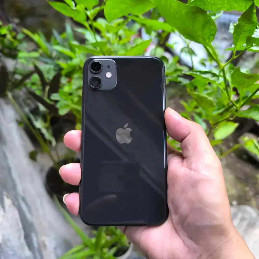Iphone 1164gb ibox mulus