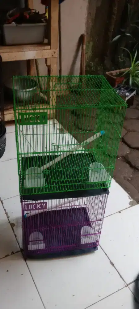 Kandang besi lucky untuk sugar glider