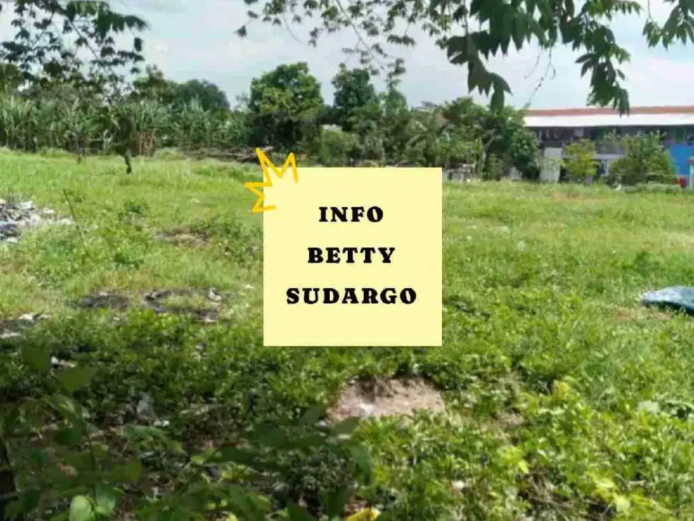 TANAH SIAP BANGUN RAYA SEDATI AGUNG SEBELAH RIA SWALAYAN, INDOMARET