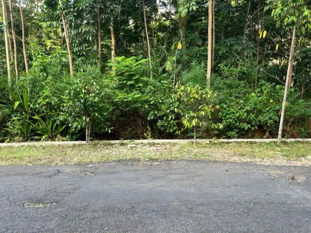 Tanah Strategis Pinggir Jalan DPU 1200m2 Kerjo Karanganyar