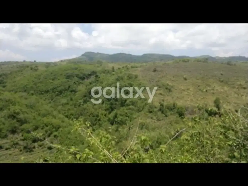 8000sqm Land in Batumadeg, Klungkung, Bali (SHM)