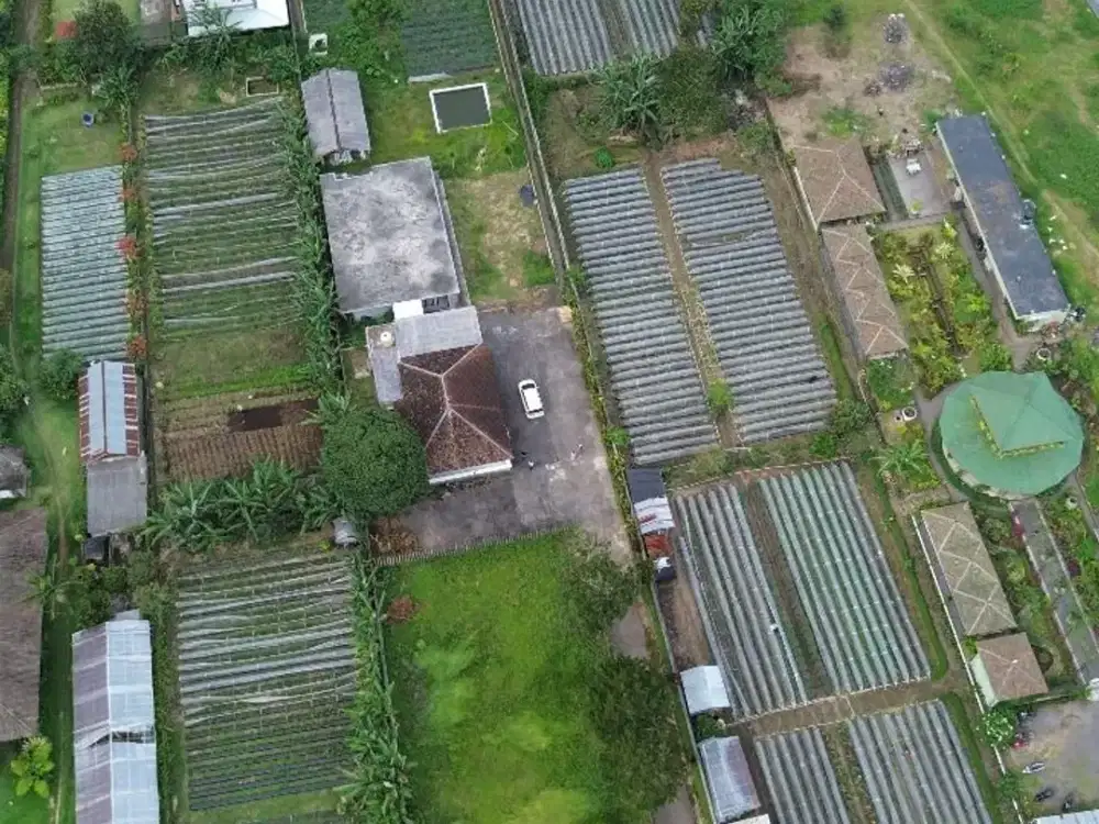 Scenic Freehold Land In Bedugul, Bali (Perfect For Villa)