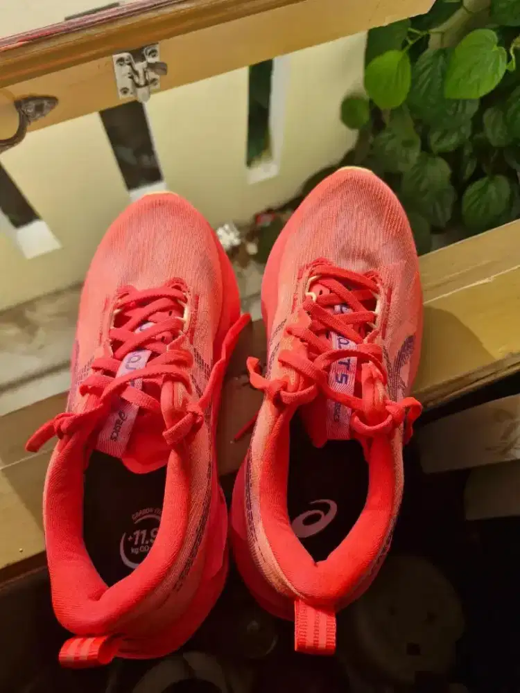 Asics Novablast 5 Red/Orange Women Uk 39 (24.5cm)