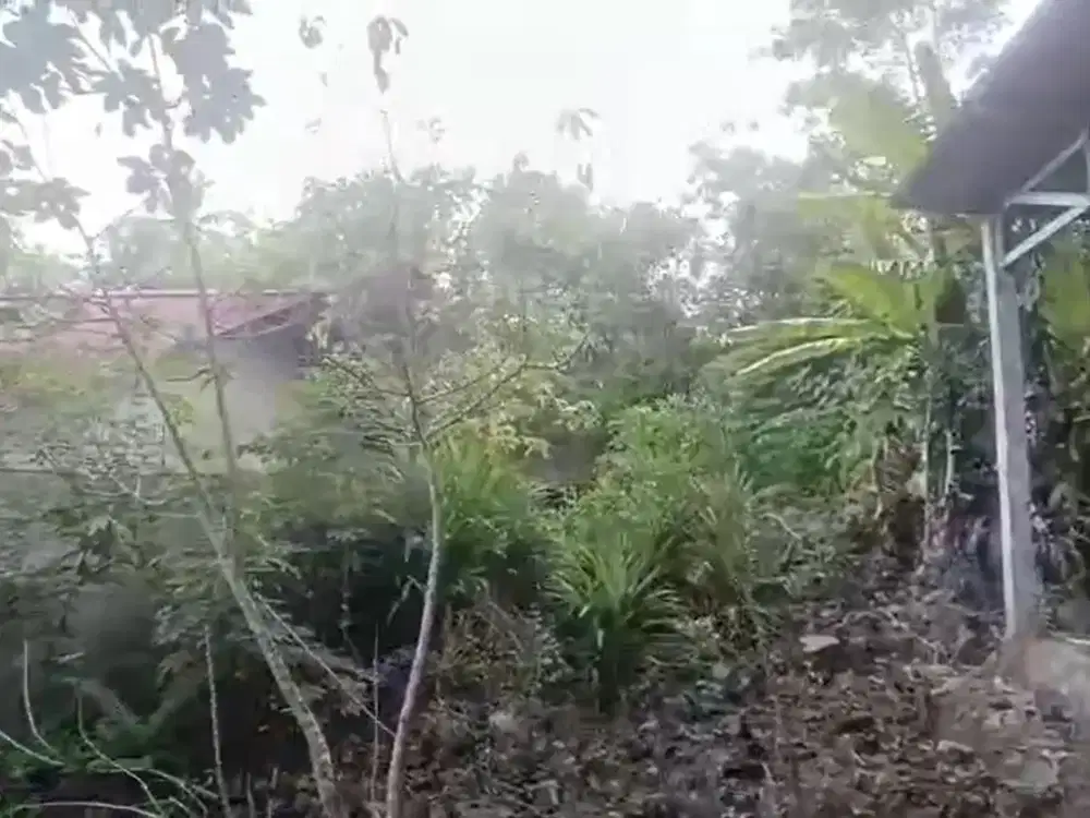 DIJUAL TANAH LOKASI STRATEGIS DEKAT RESORT TERKENAL DI BUNAKEN MANADO