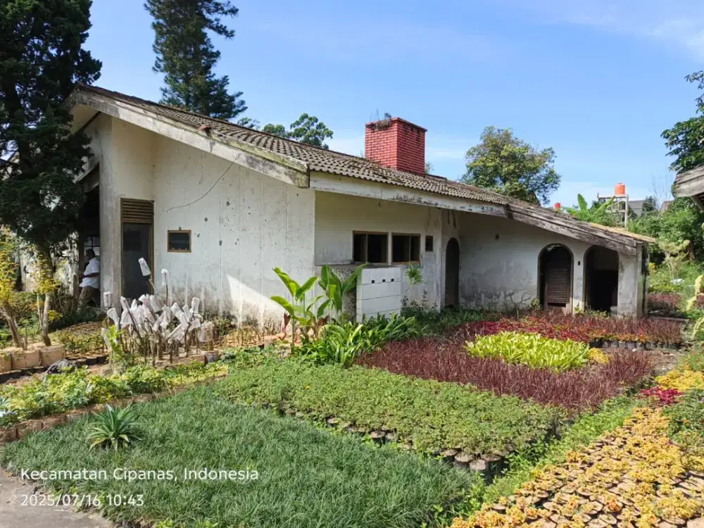 Dijual murah hanya hitung tanah saja villa cholibah cipanas jawa barat