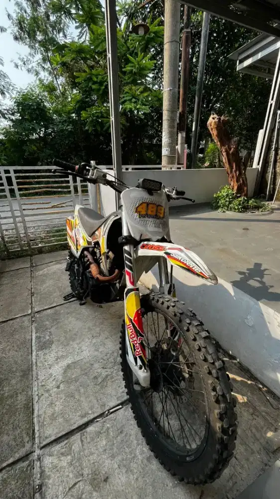 Viar X Cross 150 2019