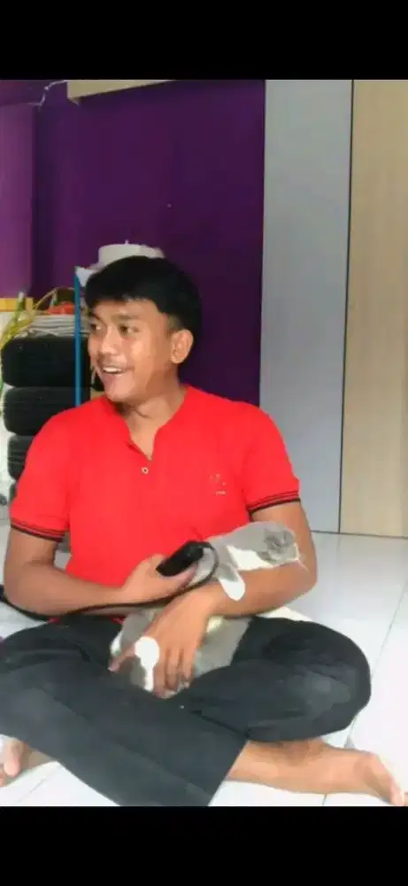 GROMING PANGGILAN MURAH