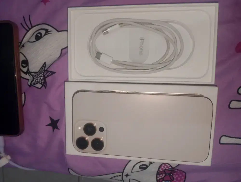 iPhone 16 promax 256 GB