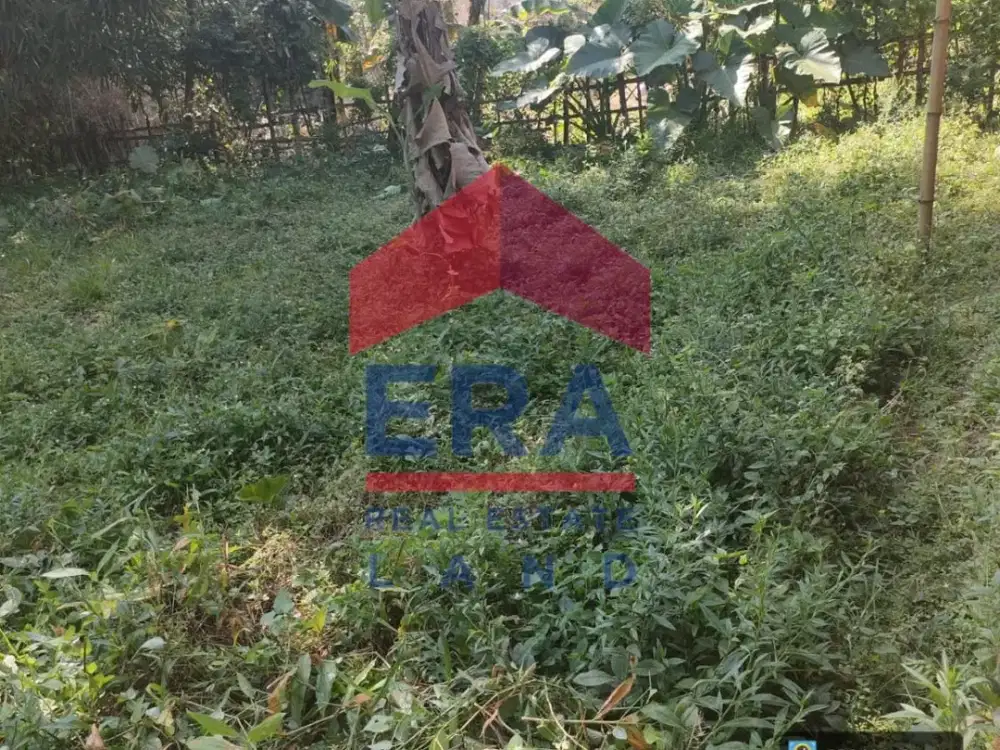 Dijual Tanah di Jalan Dsn Glongsor Desa Sidorejo Jabung Malang