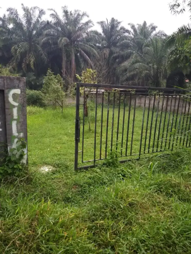 Dijual tanah utk vila/beternak