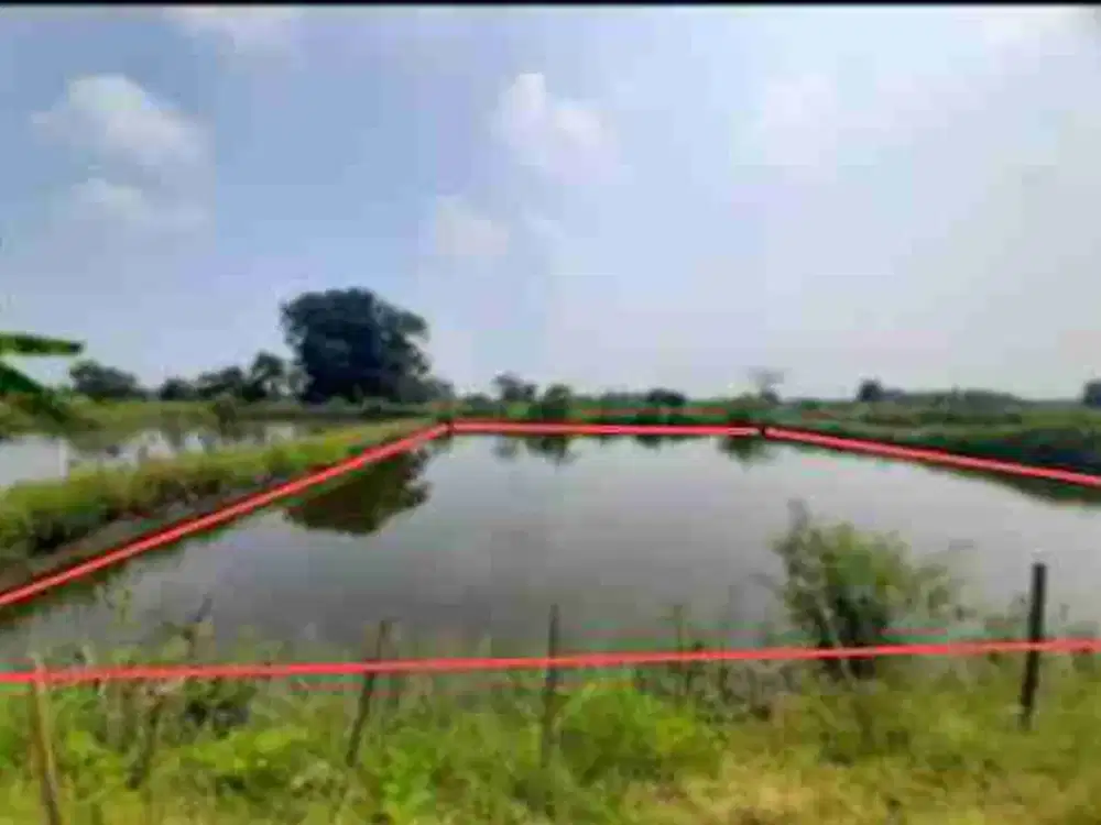 DI JUAL TANAH 

KEL. : GURANGANYAR 
KEC. : CERME 
KAB  : GRESIK