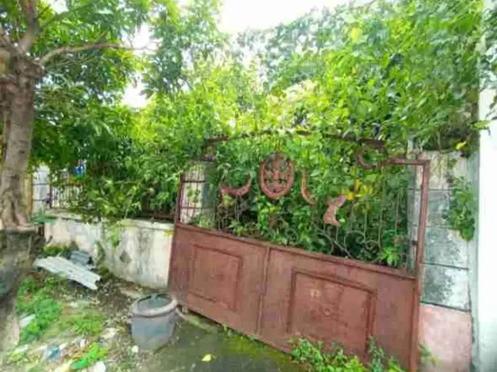DI JUAL RUMAH

PERUM GRIYA MUTIARA INDAH BLOK B3 NO 25
KEL. : MOJOSARI REJO
KEC. : DRIYOREJO 
KAB  : GRESIK