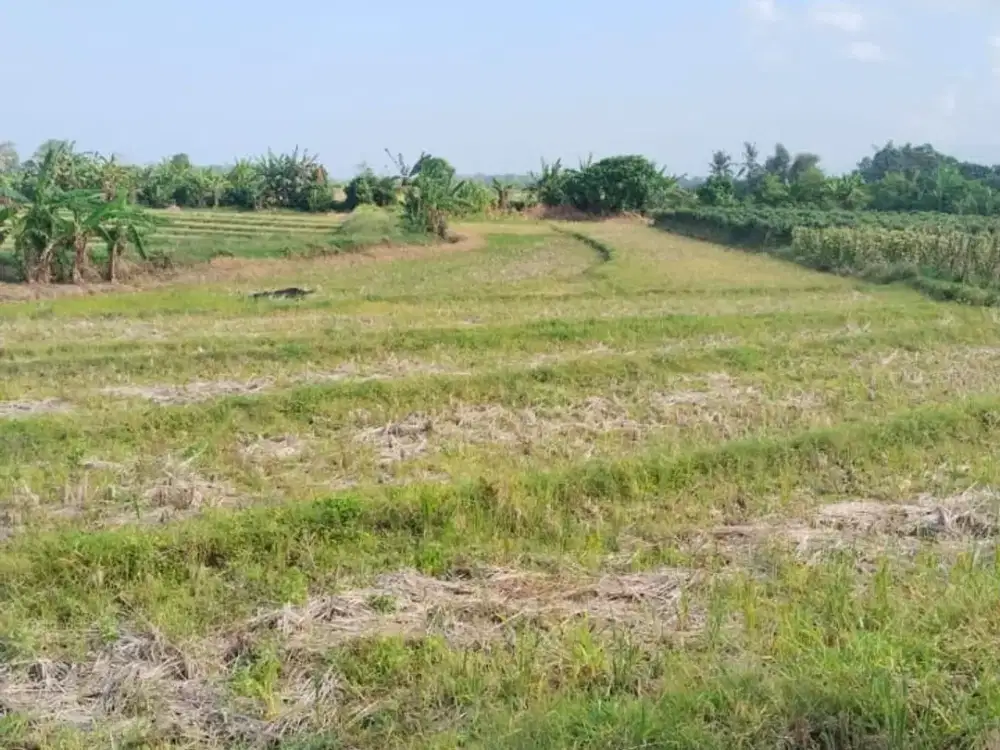 6Are Land With Sea View In Tibubiyu, Tabanan