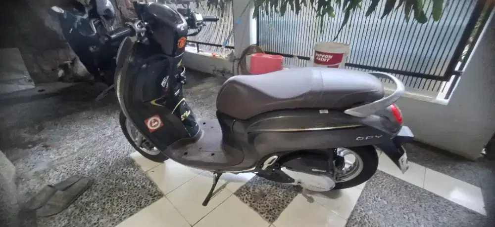 Scoopy stylish 2022