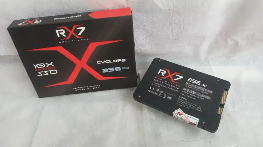 SSD RX 7 - 256 GB [ WINDOWS 11 - 25H2 ]