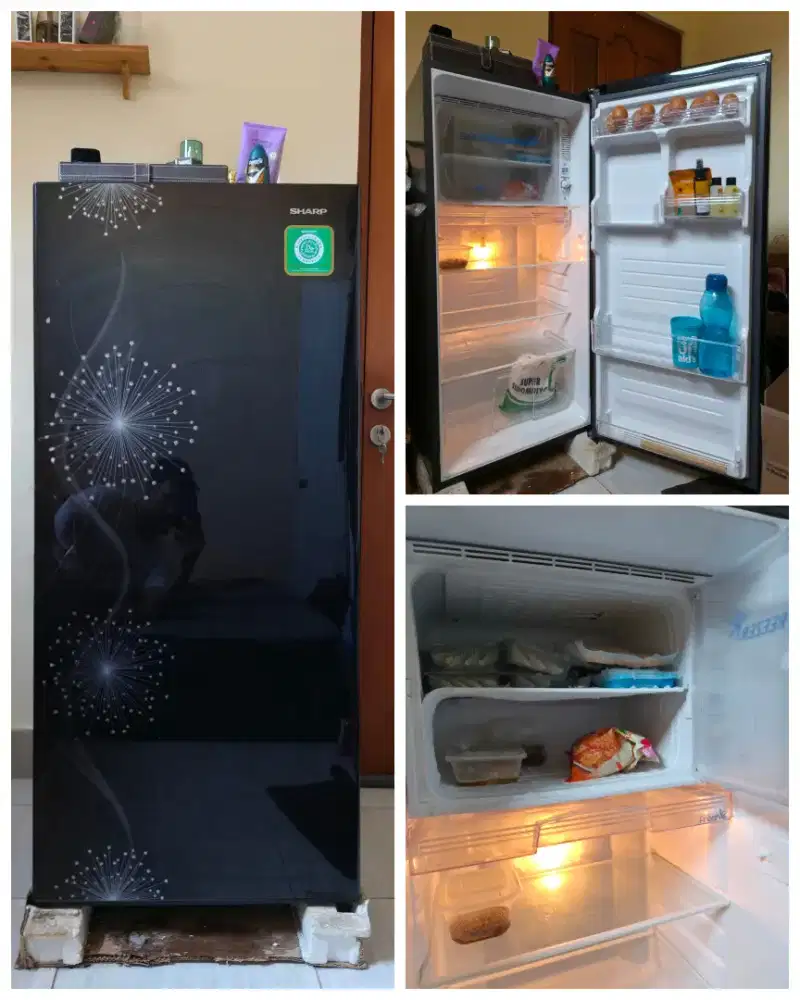 Kulkas 1 Pintu Sharp Dandelion