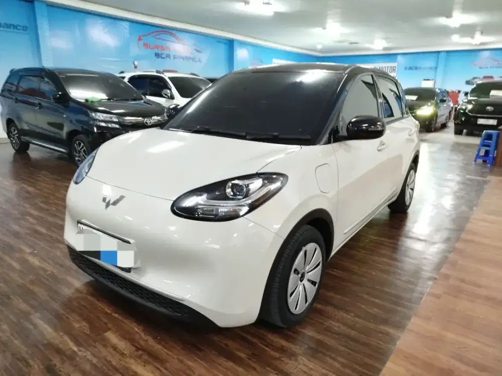 Wuling binguo AC DC long range 2025