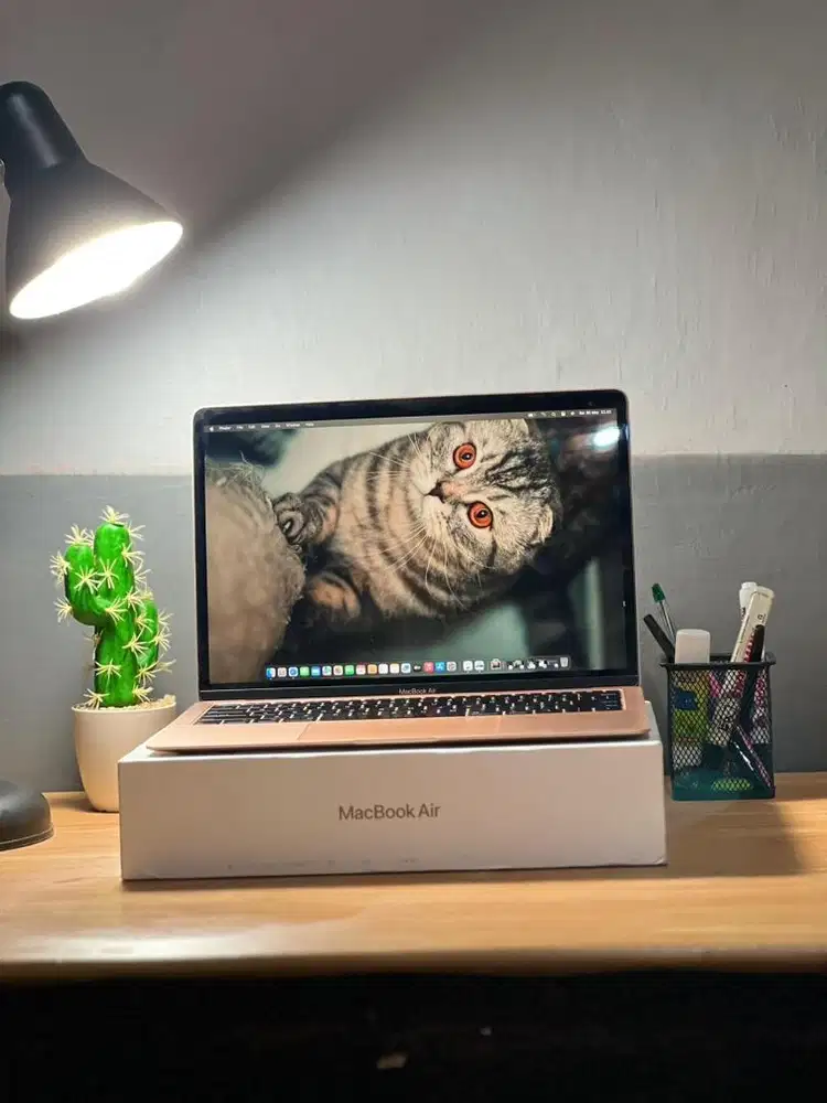 Macbook air 2019 retina mulus