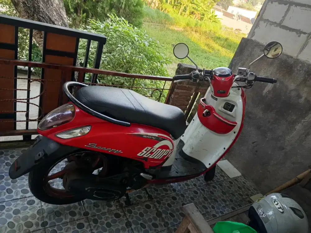 Scoopy ISS 2016