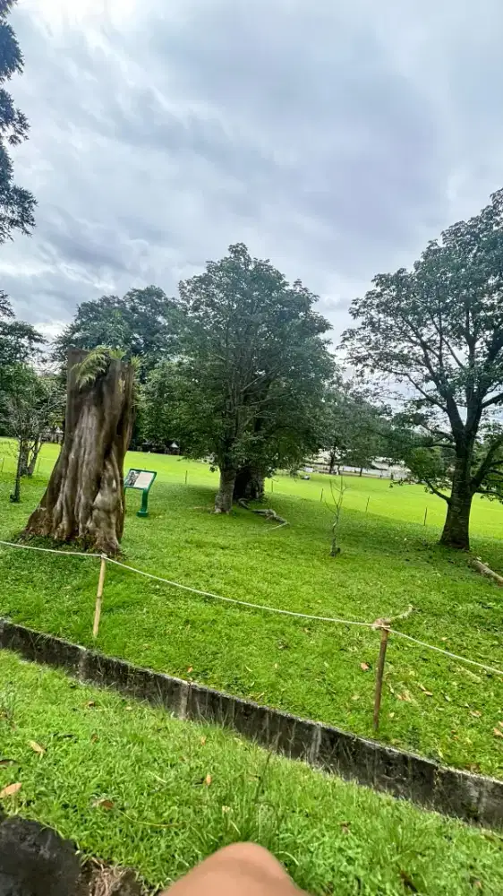 Cari pekerjaan apa aja