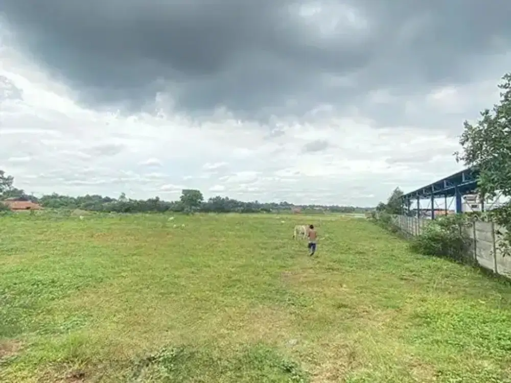 INVESTASI EMAS TANAH LUAS DI KAWASAN ASRI BEKASI