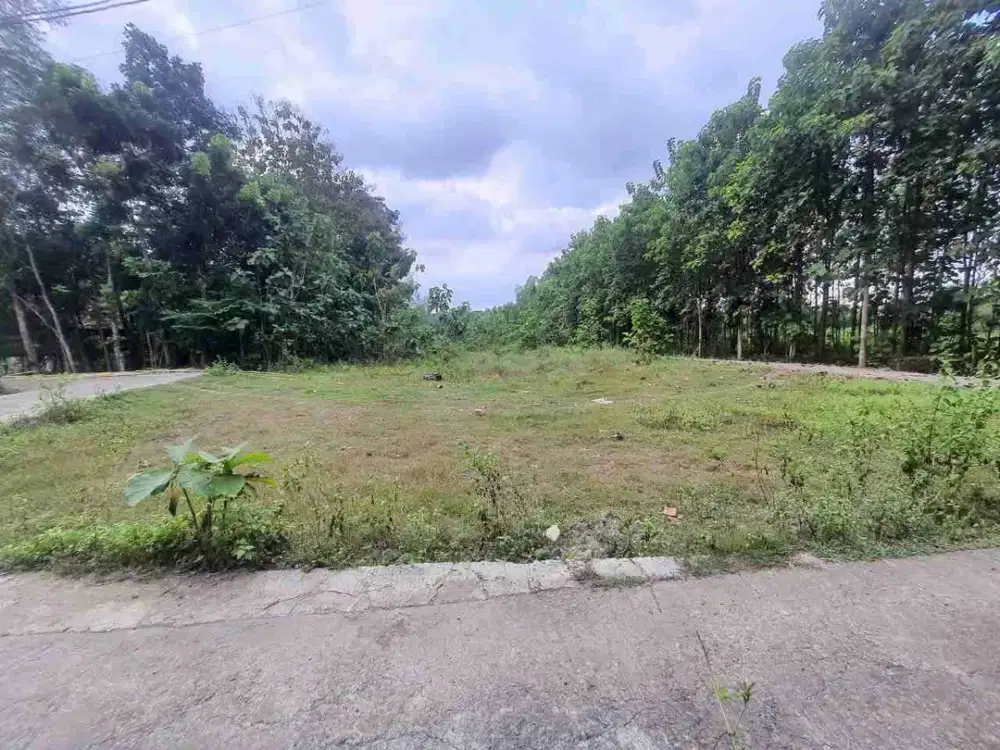 tanah cerme panjatan Kulonprogo